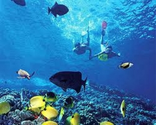  Snorkeling in Tulum 